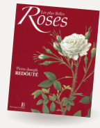 uLes Plus Belles Rosesvij