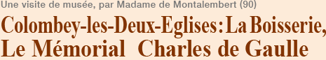 Colombey-les-Deux-Eglises:La Boisserie, Le Mémorial  Charles de Gaulle