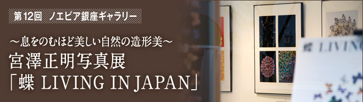 第12回　ノエビア銀座ギャラリー～息をのむほど美しい自然の造形美～宮澤正明写真展「蝶 LIVING IN JAPAN」