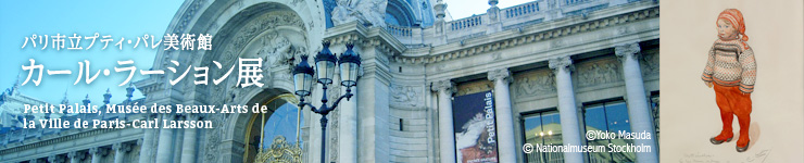 psveBEpp J[E[VW Petit Palais, musee des Beaux-Arts de la Ville de Paris-Carl Larsson