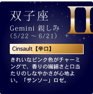 oqGemini e݁i5/22`6/21jCinsaultyhzꂢȃsNF`[~OŁȂ@ׂƌ̂Ȃ₩Sn悢BuT\[v[B