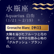rAquarius Ri1/21`2/19jGrenache Blancyhzz𗁂тt[cƉԂ̍ɁAu₩ȈݐSńuOibVEuvB