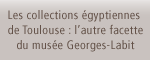 Les collections egyptiennes  de Toulouse : l'autre facette du musee Georges-Labit