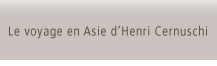 Le voyage en Asie d'Henri Cernuschi