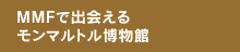 MMFŏo }g
