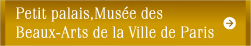 Petit palais,Musee desBeaux-Arts de la Ville de Paris