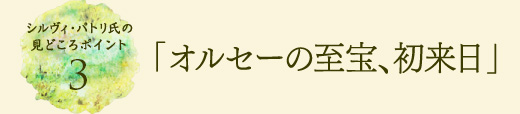 VBEpǧǂ|Cg3uIZ[̎Av